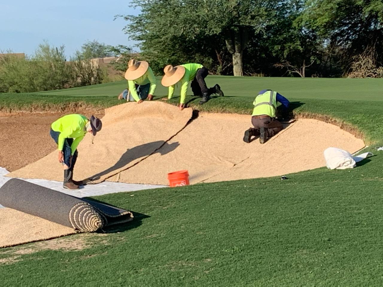  Desert Forest Install 