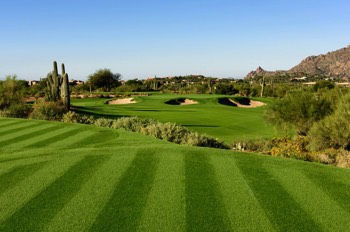  Desert Forest Golf Club 